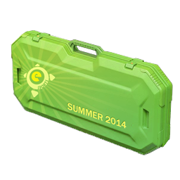 ESports 2014 Summer Case