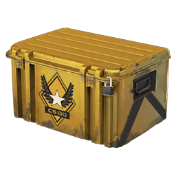 Winter offensive Weapon Case